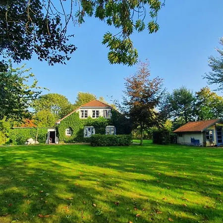 Harderdomizile - 4 Tetenbull